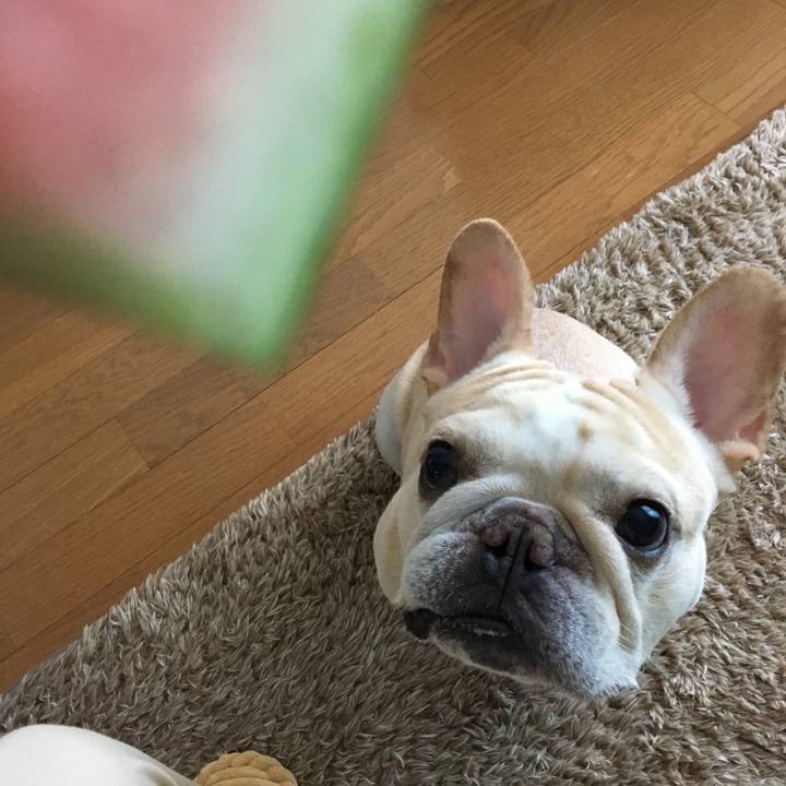 745d76c8 8dba 4190 91b3 197262849448