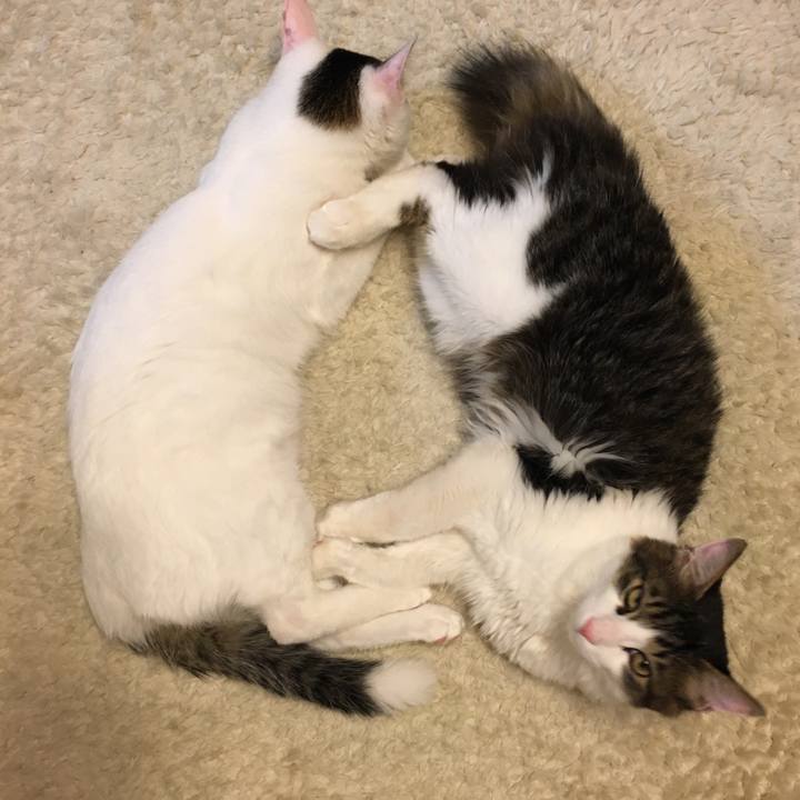 745dada2 0f35 4109 9be2 631a3a5ace7d