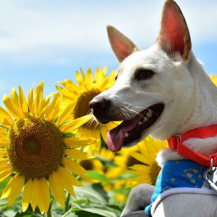 745e53d0 b0c1 4fce 9414 1f6104c56ed1