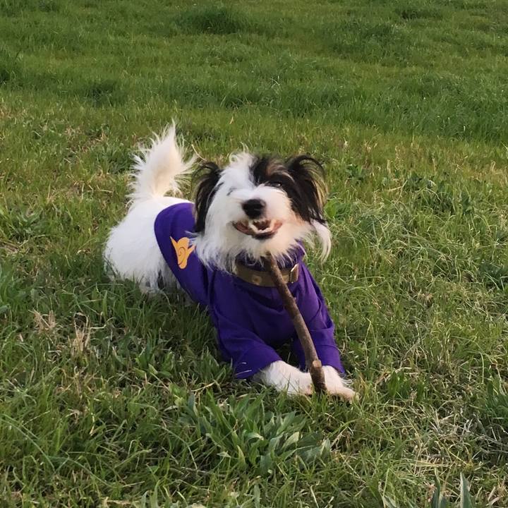 745e661e 0048 45f4 b7d8 6494b2f78e5c