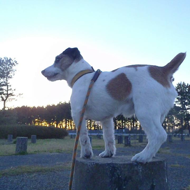 745e6e44 46b0 4e2f aec0 d0c82b291be7