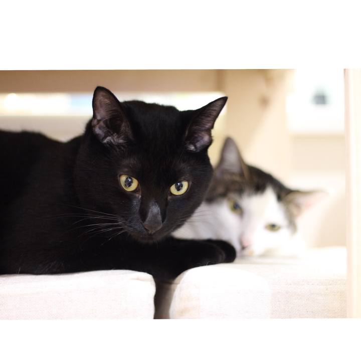 745fa645 e346 4a3e 9851 f78c136e3848