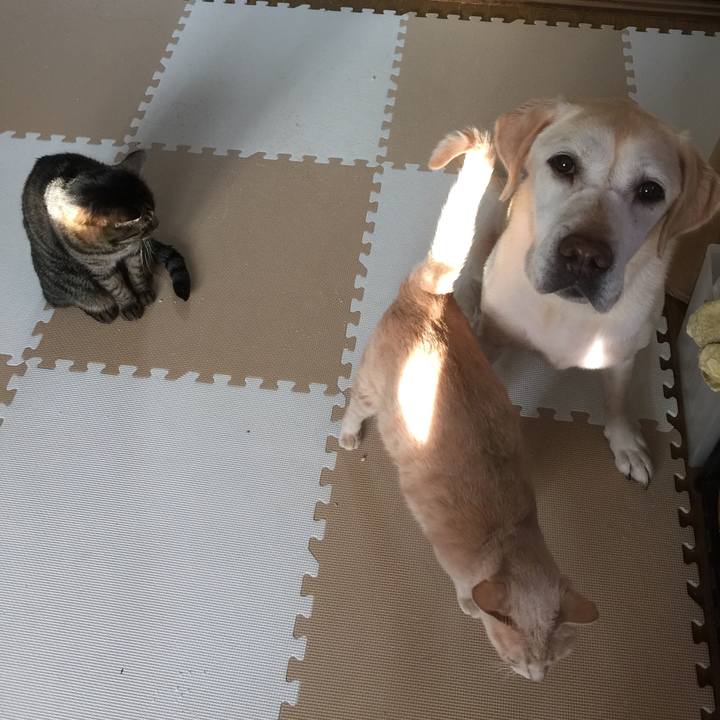 74610c83 52ef 4178 be6c b4c6836a6ceb