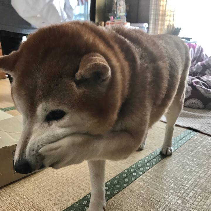 74612a21 d517 4057 b618 cf44e8fac471