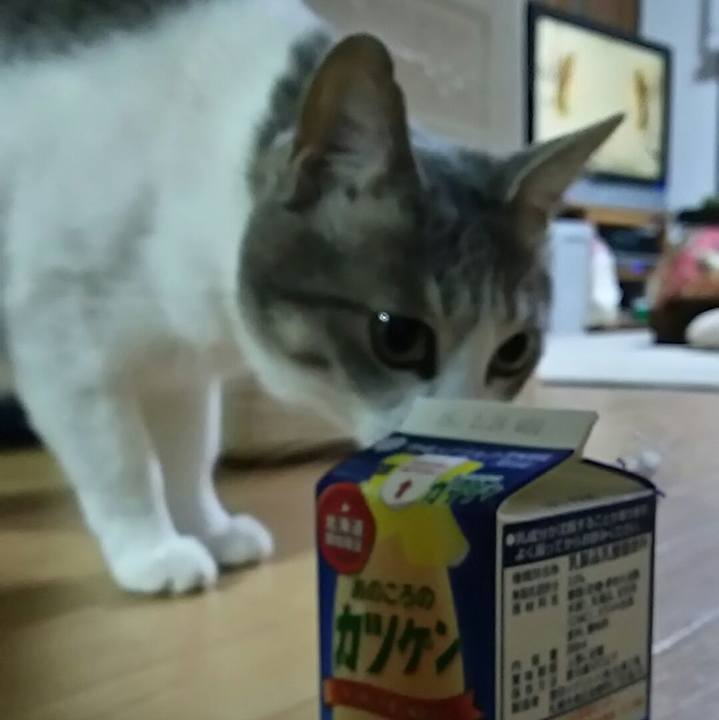 746164e1 df2b 4cf8 a761 e977301bd7f0