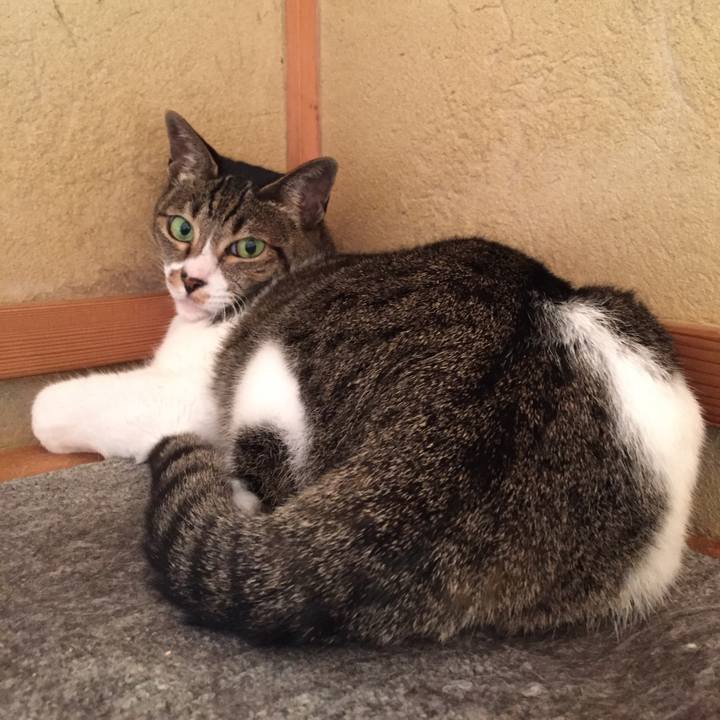 74619844 d9c3 46fe 8683 f5dfde6dd8f4