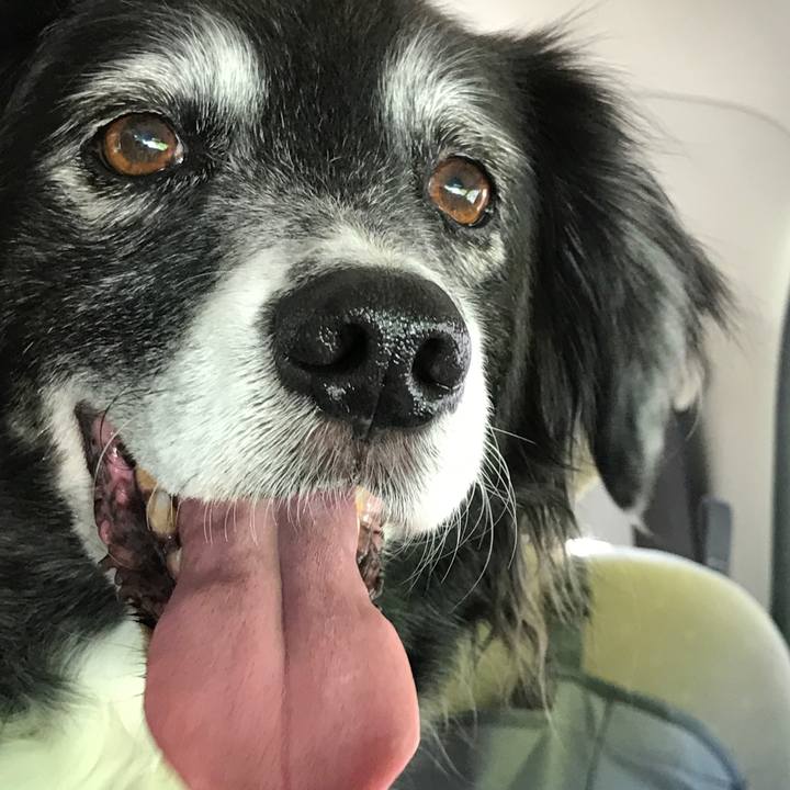 7461cb17 17f3 421f 8ccf 3f90d27d2c59