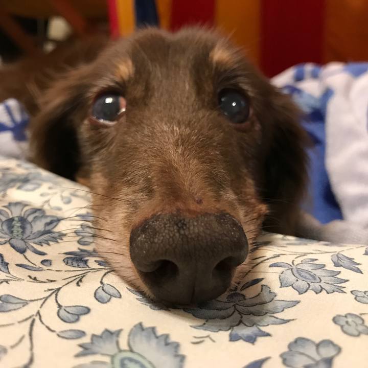 7461d440 ba17 4bc7 a77c d3d178b177e7