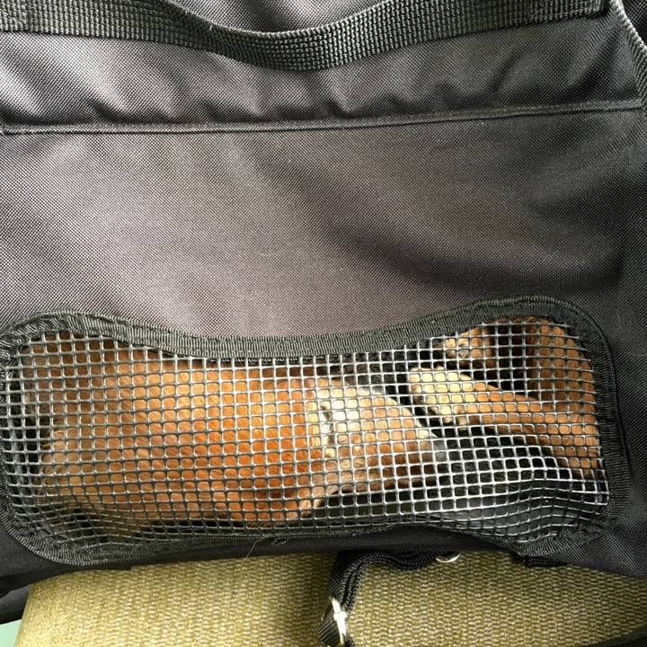 7461d74f e47a 4590 b8a6 32b34927f428