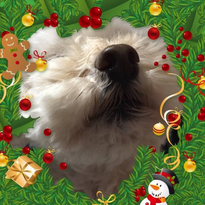 74624222 528e 4260 8487 706d3145be32