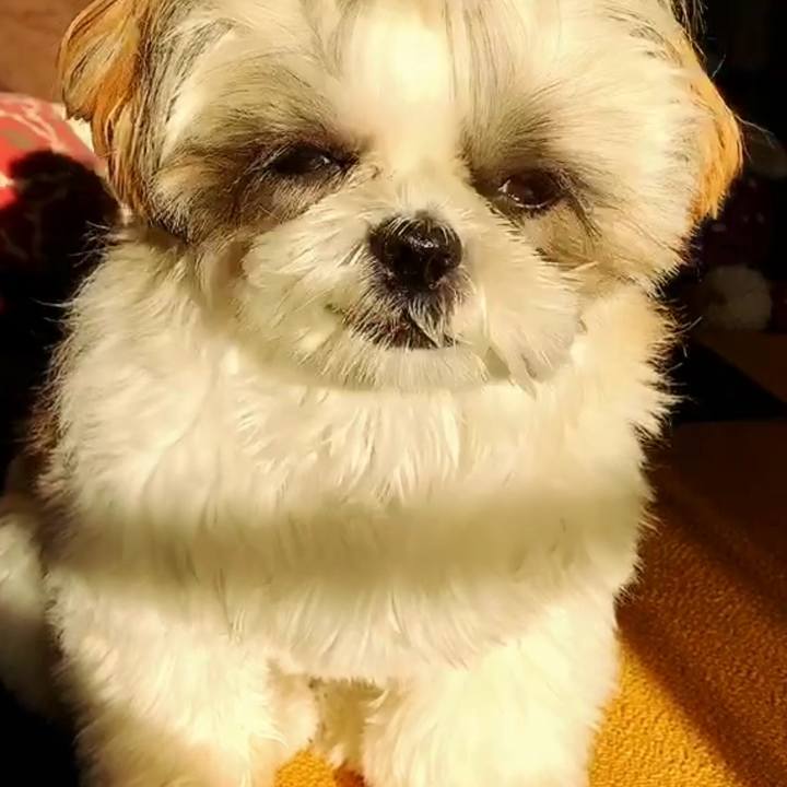 74624451 4b8f 40f5 8f90 604453b7a4b2