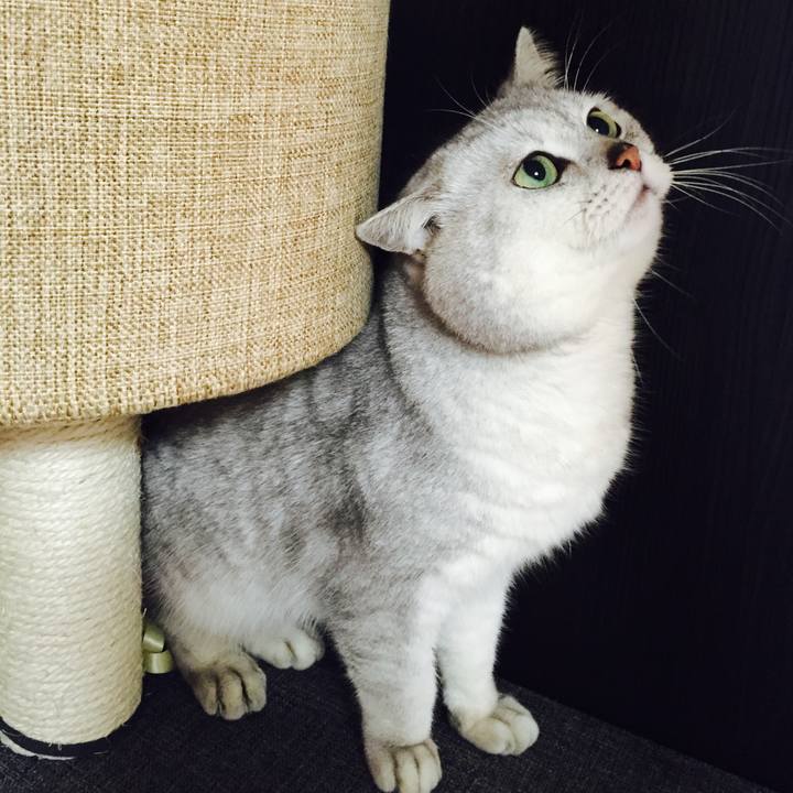 7463a73e a522 4d96 a96b e06627cf9db5