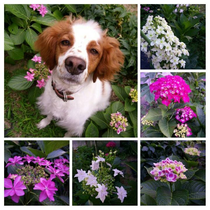 74642fef 74e7 48a4 86d0 20b793cd5e79