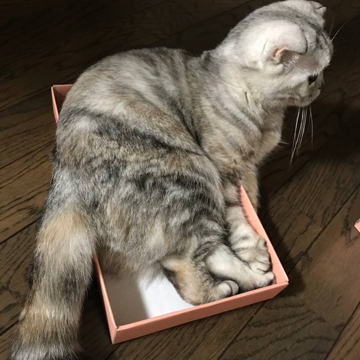 746431d1 8945 4ff4 a952 f04e03ba4c19