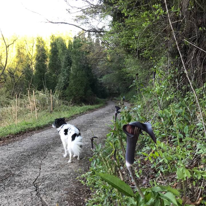 74644e3d 4a63 4e9a ba87 9b9e5412fb84