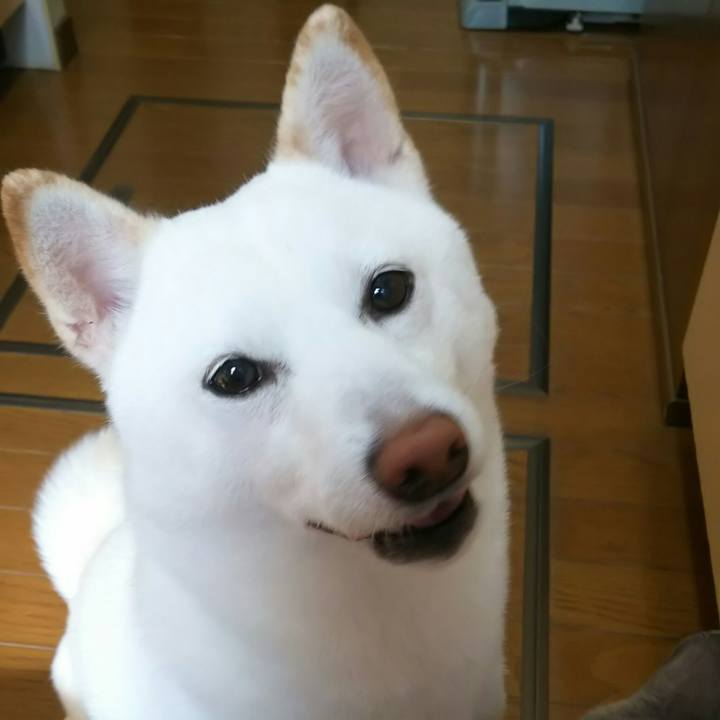 7464553e 9a17 4054 98fa abc22742be40