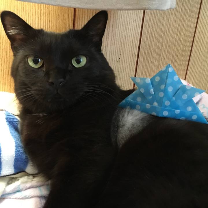 74645a09 f01a 41ba ba3a 35033c45286d