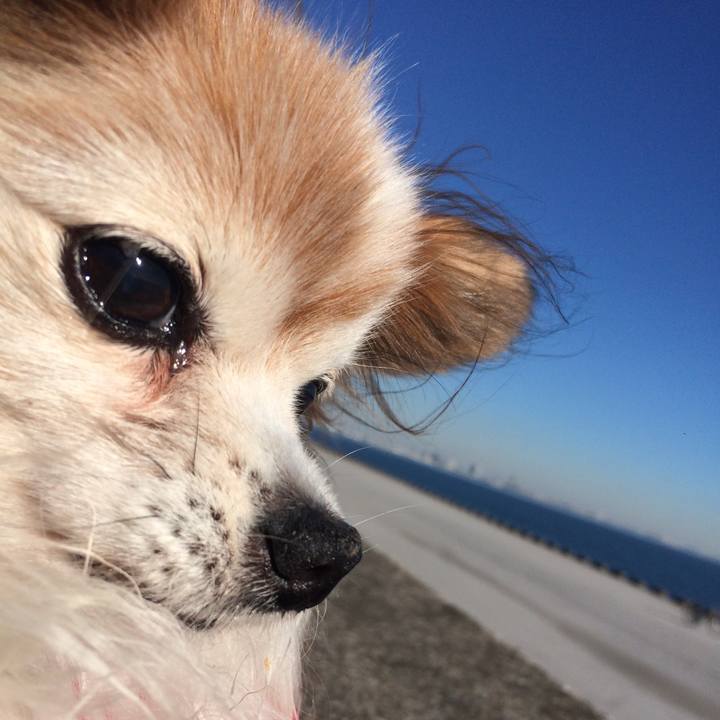 74650ef3 38e3 4d48 a47c 5b93df86ef4d