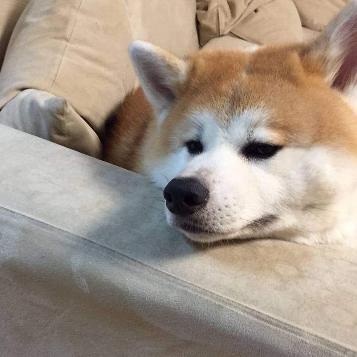 7467539e 8b73 4557 b91e cbaec9553035