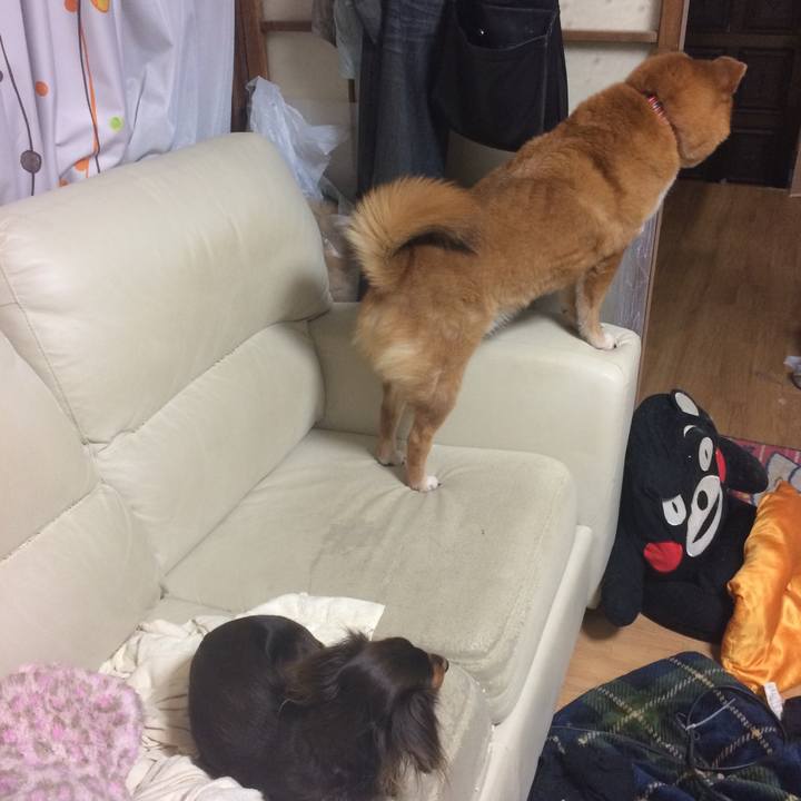 7467639d 5e67 48e2 ad78 7e1c3c8be05e