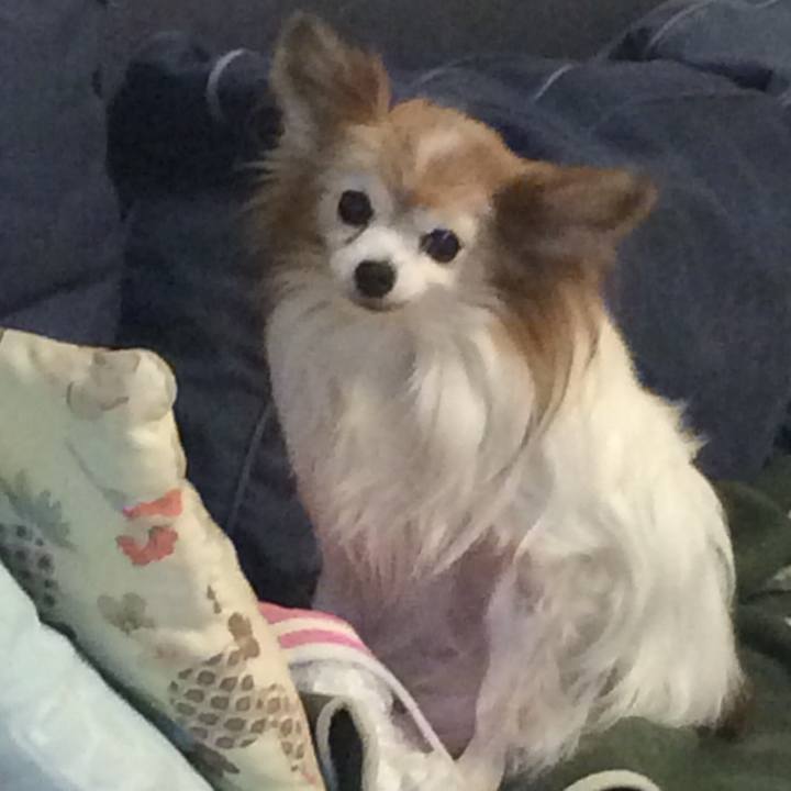 74679cf2 5280 4a10 bbcd cc52b048c3f9