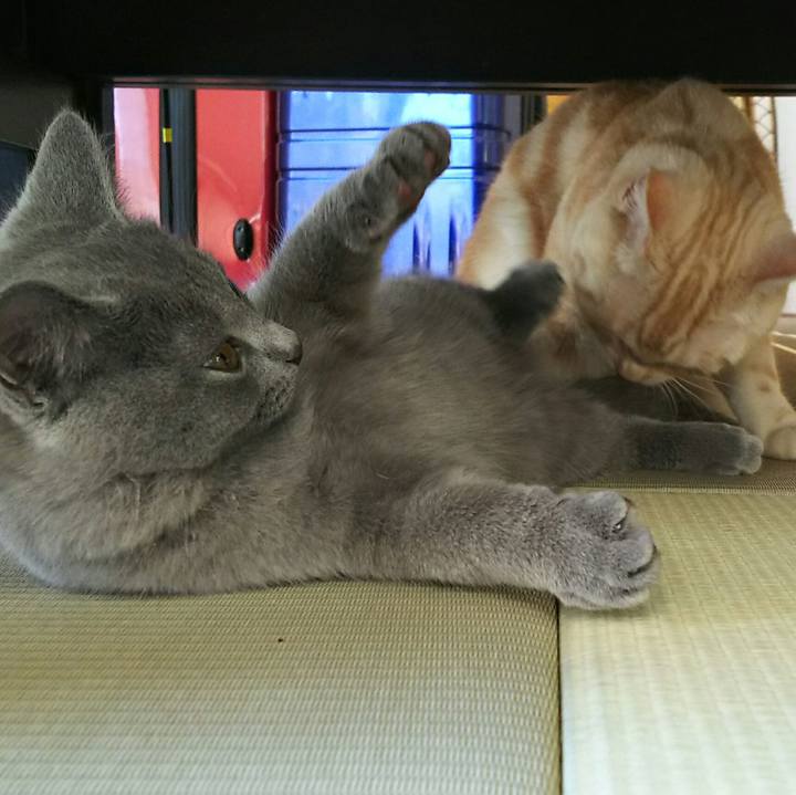 7467edcc bf11 47a3 b2b7 001ff9862fe8