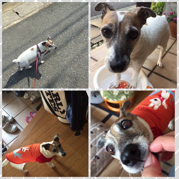 7468c309 7157 4f99 8a4c 969481c2378c