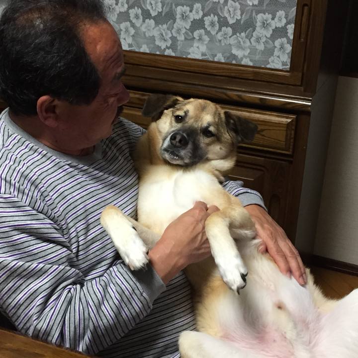 7468eb5a 8f12 4672 b5d1 b0598bb2540c