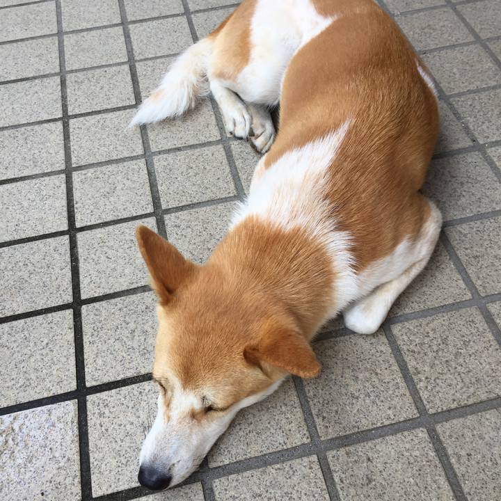 74693801 3b1c 464b a91d 976be37a1089