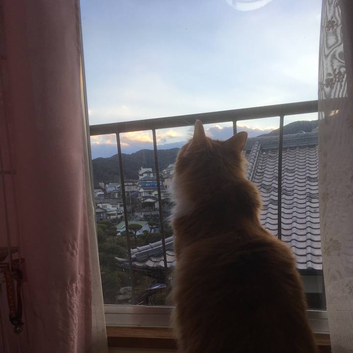 74696e81 dd57 4509 b993 13cde303bdbb