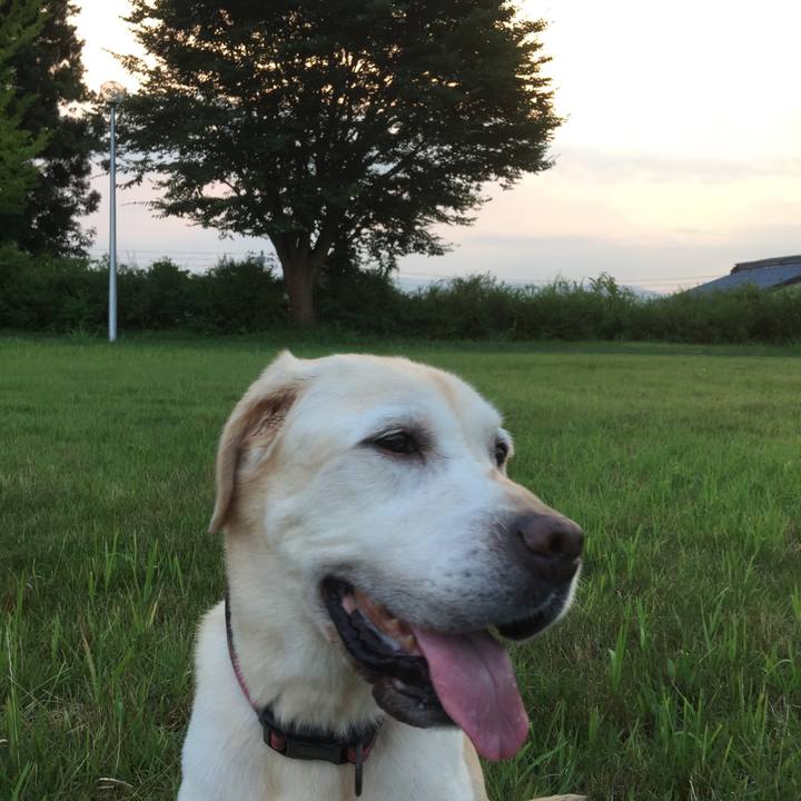 746adc8d 3ae0 4062 a8c3 a61b6d47638f