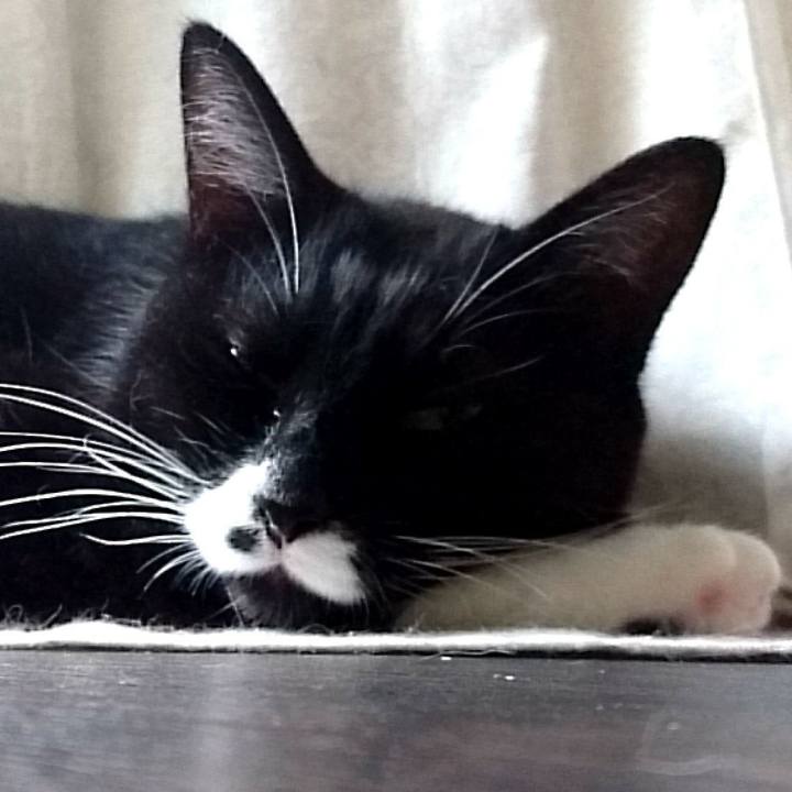 746b5727 09f7 4080 ba55 c4d9c02371ef