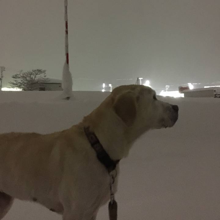 746b8539 845c 40d0 99de 48c7cbadd52f