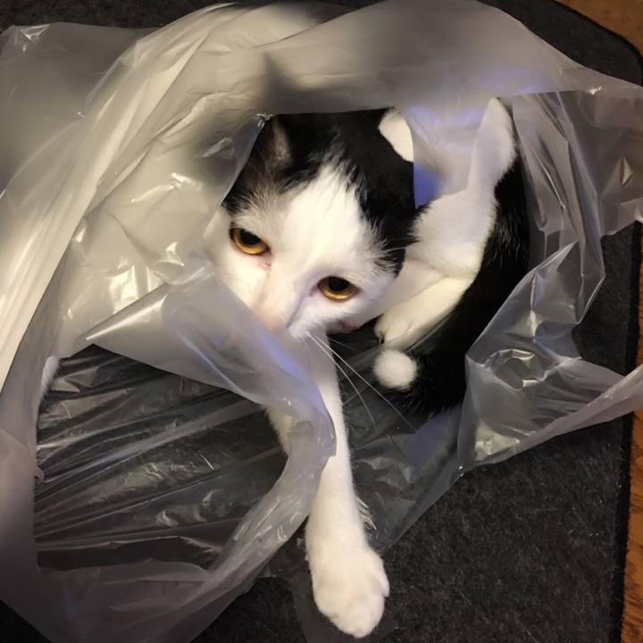 746b8de4 72b8 4de8 a2ef 6daf6f0209ba