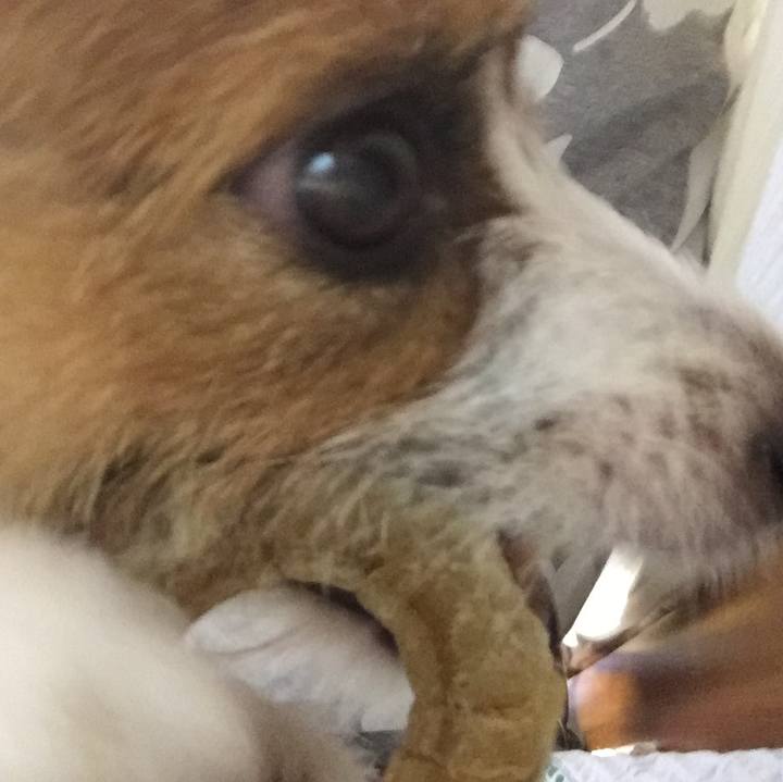 746cdd3e 3761 4668 a401 714221dc6350