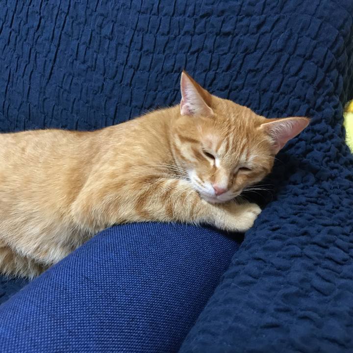 746cf04e 2461 4c0e a864 623c7c31417b