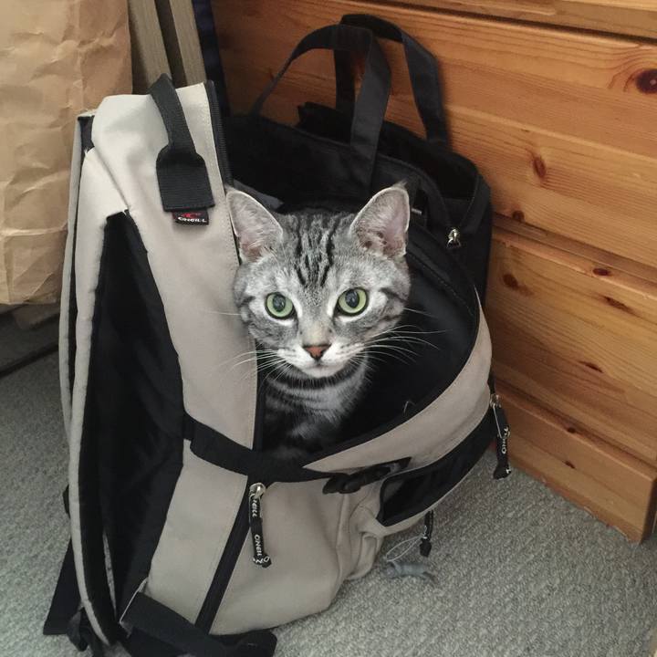 746d3776 6855 48a0 9084 9cca527cf67b