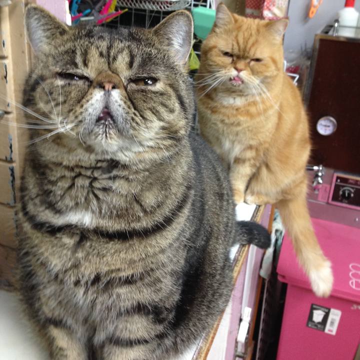 746db99a f6ad 4f4f 959e f6a0d950c146