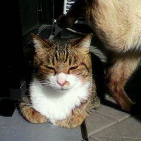 746ddf2e 32fd 4ac4 bf9c 0343225cad3c