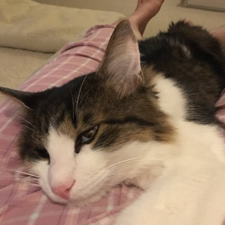 746df973 c618 41a2 87ba 5846fa8c4170