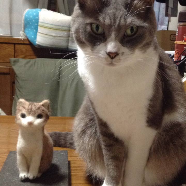 746e10ca 0ef8 490b a881 b906d65b3c6e