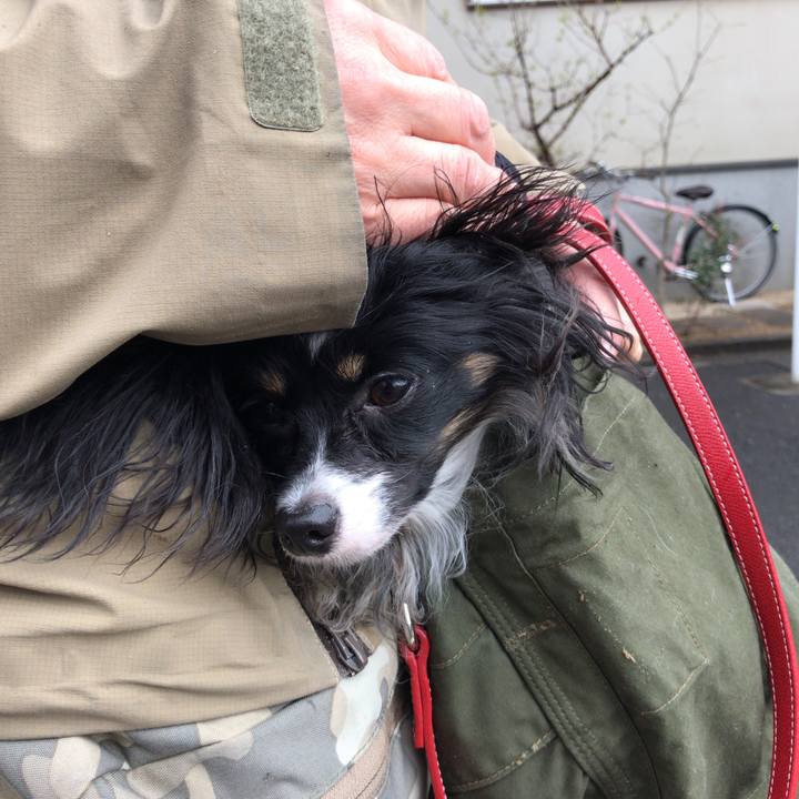 746e580e 8bd0 4c51 a873 c24c307faf64