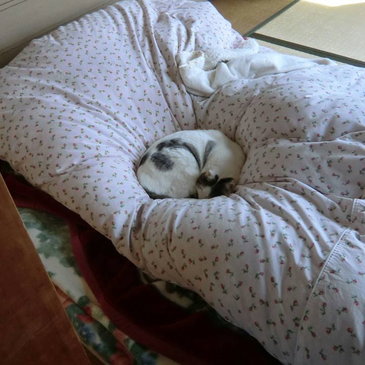 746ea883 1729 4011 99b0 796a0e05caa6