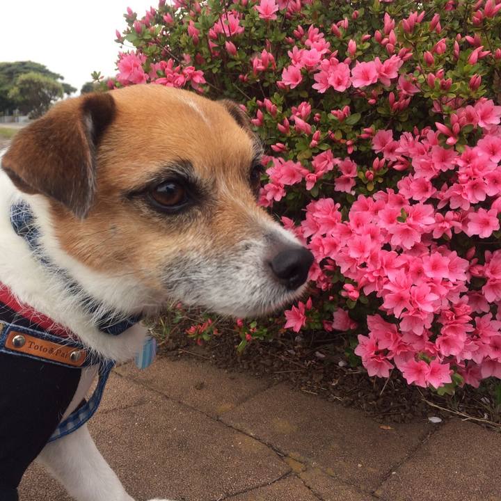 746ebbe1 6307 4f40 8fd7 e3843c10cd7b