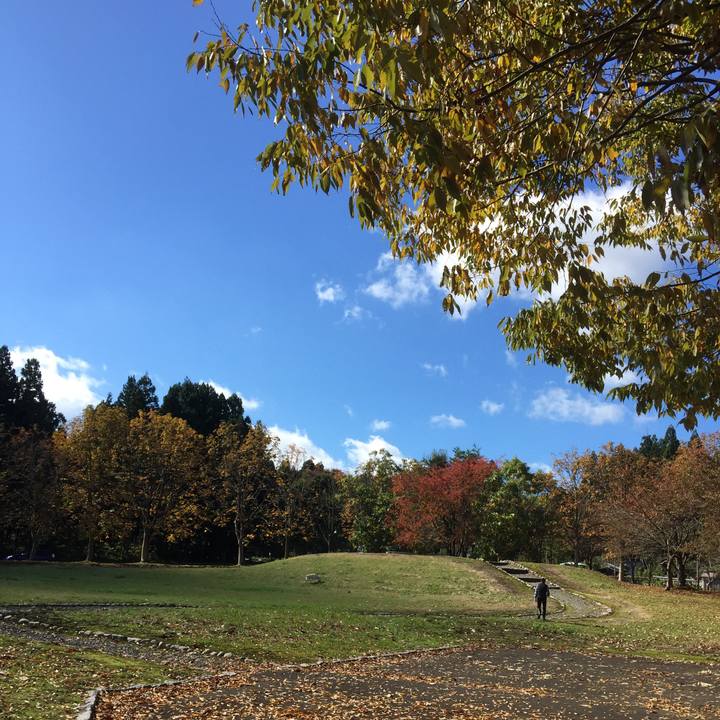 746f13d5 1580 471c 9e05 316fe35d93db