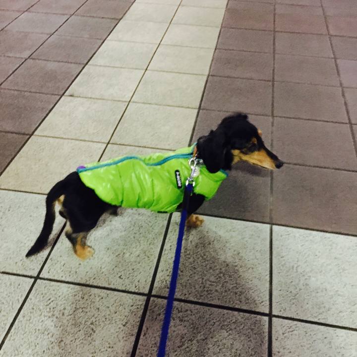 746f4c8a 7d81 4729 a144 df50e32e4731