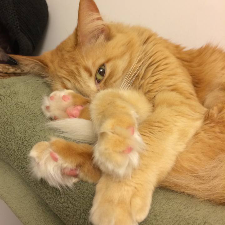 746fa6ef 3a21 4617 bc19 91c3fba09e22