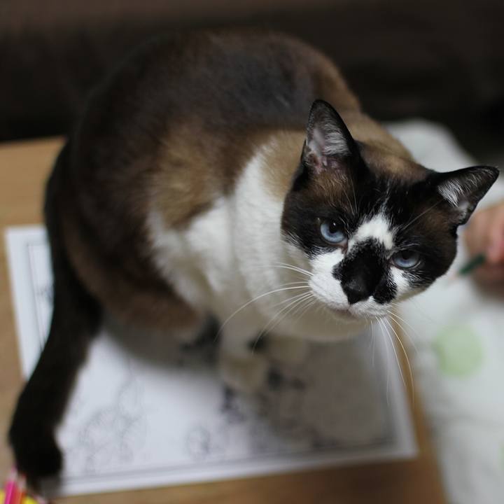 746fa7ed 7188 4df5 ba18 2ef1035a0d52