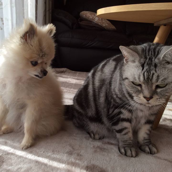 746fe062 de00 46a9 a261 8ebb81ecedc4