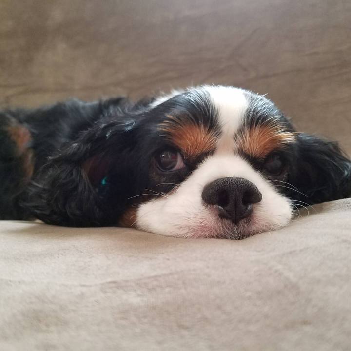 74702614 4d1a 41f5 99aa 87c5f5b216e5